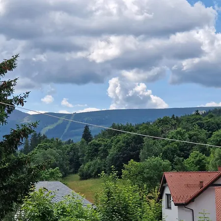 Stropnica
